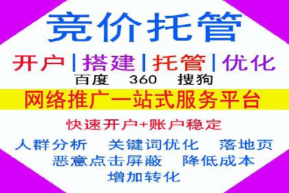 某品牌SEM广告投放的ROI提升案例